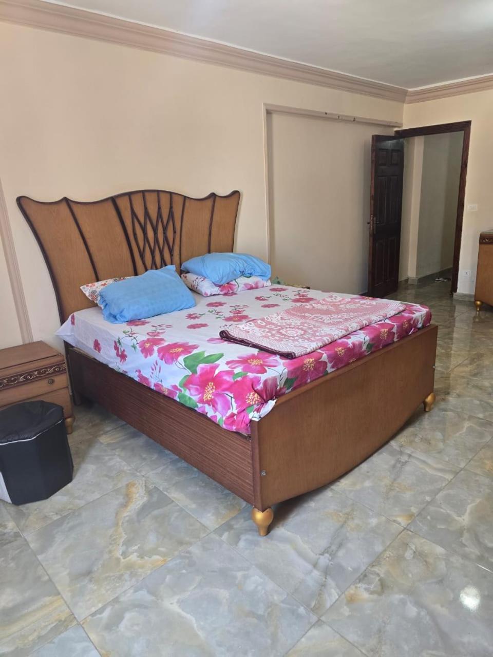 Hayat Miami Alexandria